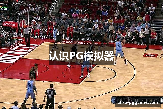 认识PG模拟器